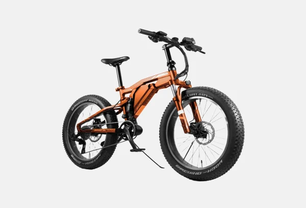 product-image-10_3 Aliquam Sodales