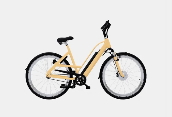 product-image-1_2 Accumsan Nulla